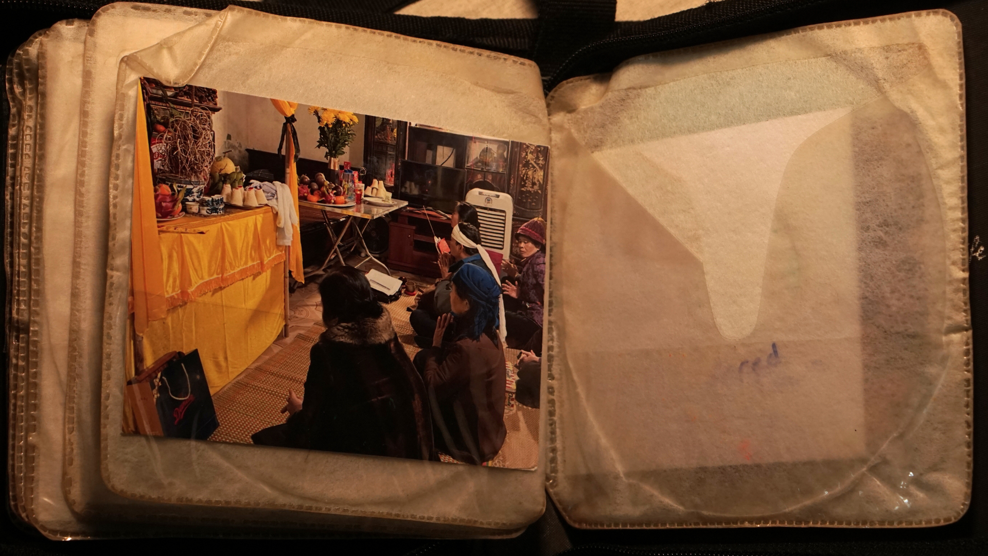 (signed) This Is Not What Thought / Yuri Hasegawa